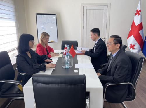 中国驻格鲁吉亚大使周谦会见格和解与公民平等国务部长
